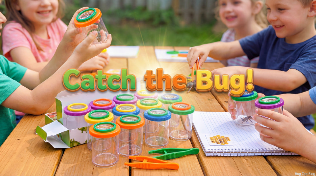 Kids’ hands at an outdoor table using clear bug viewer jars with colorful magnifying lids and kid-sized tweezers, with several jars lined up and the text “Catch the Bug!”