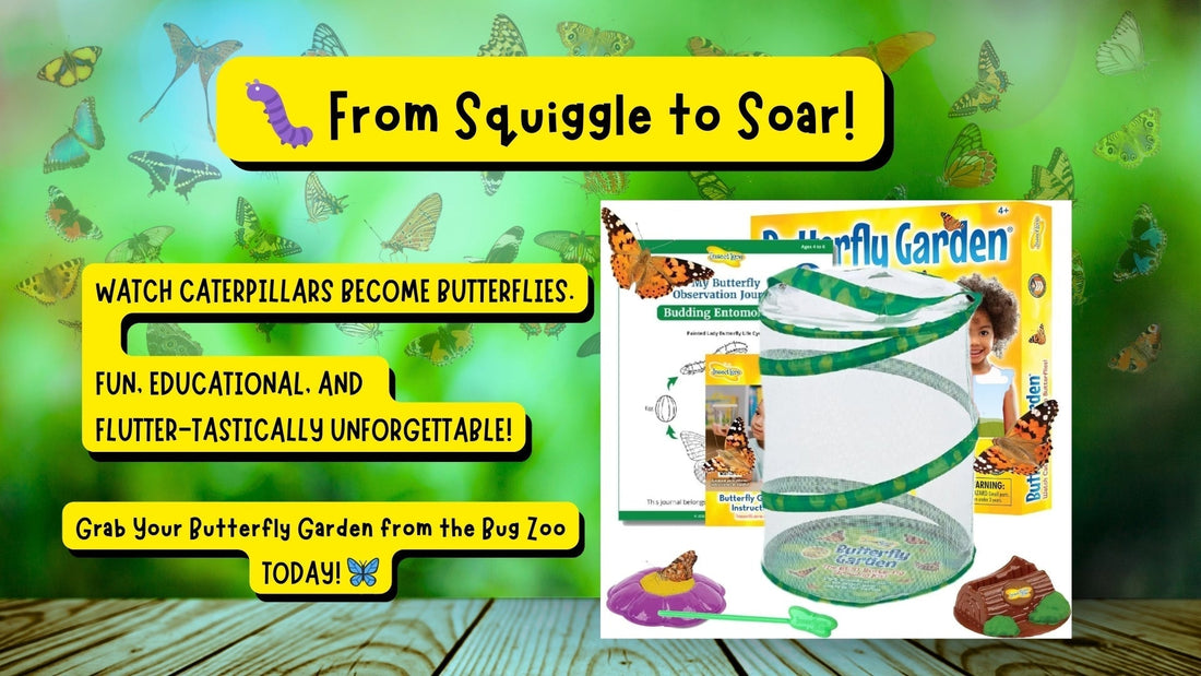 🐛 From Caterpillar to Classroom: Why the Butterfly Garden Kit is a Transformative Hit