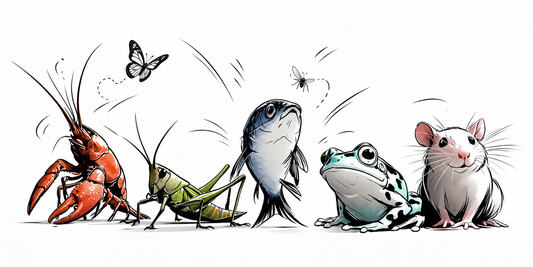 Colored line drawing of a crayfish, grasshopper, fish, frog and rat arranged as an animal evolution procession.