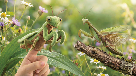 Realistic green praying mantis finger puppet on a child’s hand, soft garden background, whimsical bug details, and a real praying mantis sitting on a branch looking at the toy, no text