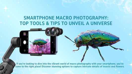 Top 5 Smartphone Macro Lens Kits (Reviewed) for Bug & Flower Photos
