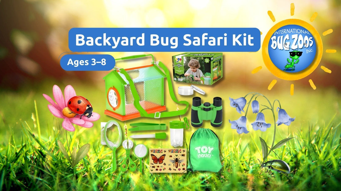 Backyard bug safari kit cover showing bug catcher habitat, net, binoculars and tools, labeled Ages 3–8, with International Bug Zoos Inc. logo.