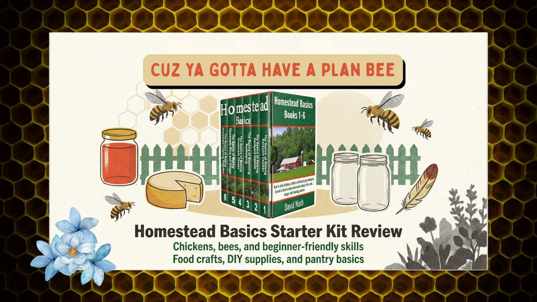 Bug Zoo blog cover with honeycomb border, bees, and Homestead Basics Starter Kit box set with “Plan Bee” headline.