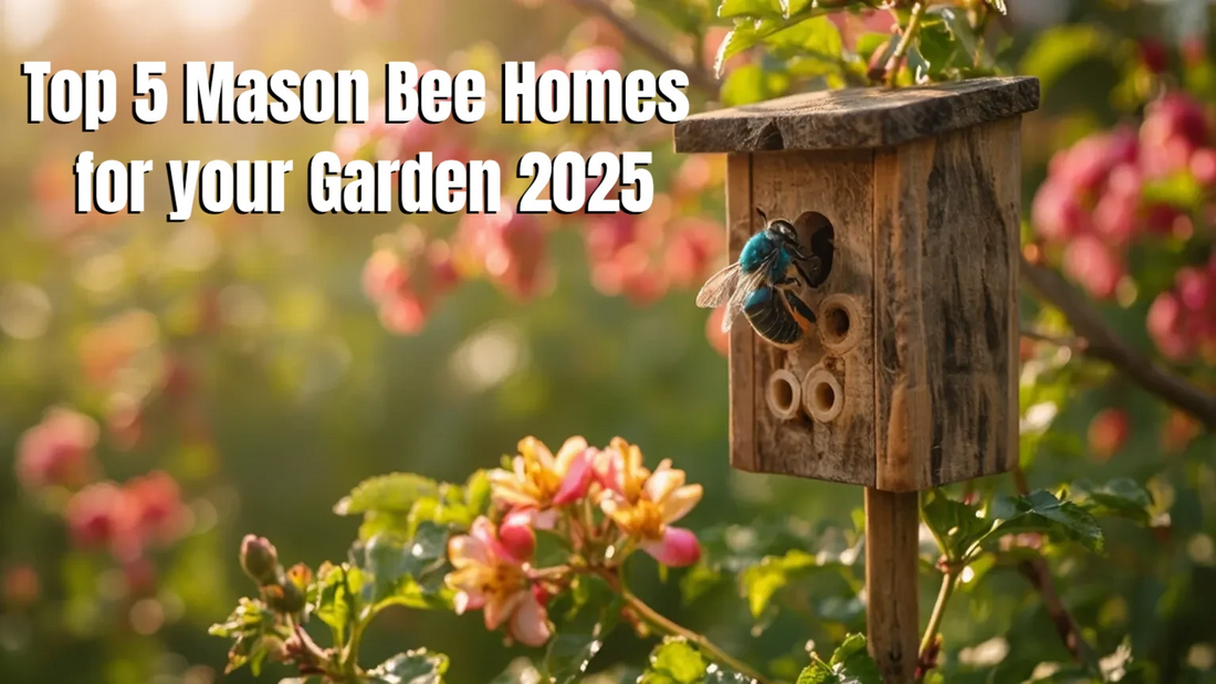 Top 5 Orchard Mason Bee Houses for Pollinator-Friendly Gardens 🐝✨