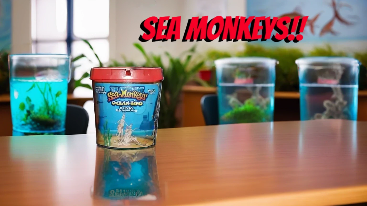 Acheter Coffre à trésor Sea Monkeys Ocean Zoo avec lumière Bizak 63072322 Acheter Coffre à trésor Sea Monkeys Ocean Zoo avec lumière Bizak 63072322