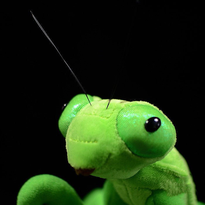 Preying for Cuddles: Lifelike Mantis Plush Toy