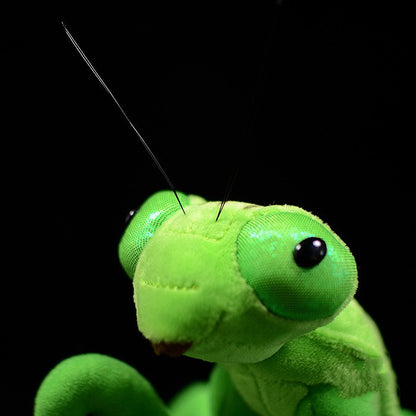 Preying for Cuddles: Lifelike Mantis Plush Toy