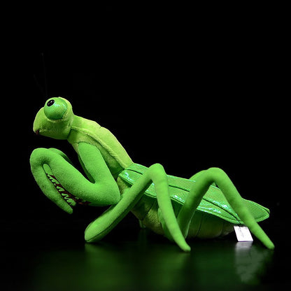 Preying for Cuddles: Lifelike Mantis Plush Toy