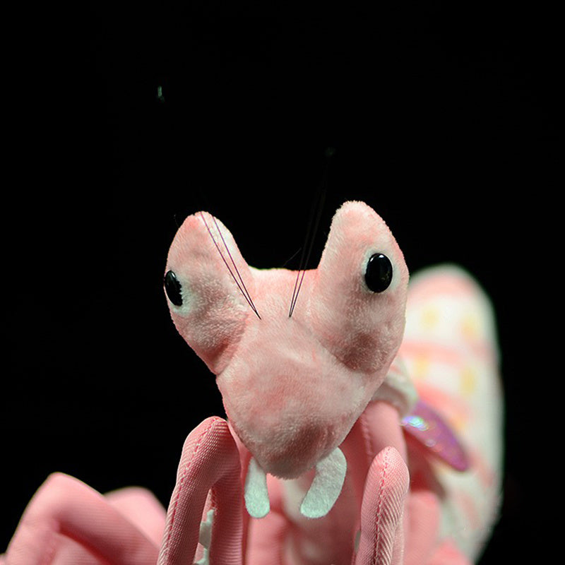 Preying for Cuddles: Lifelike Mantis Plush Toy