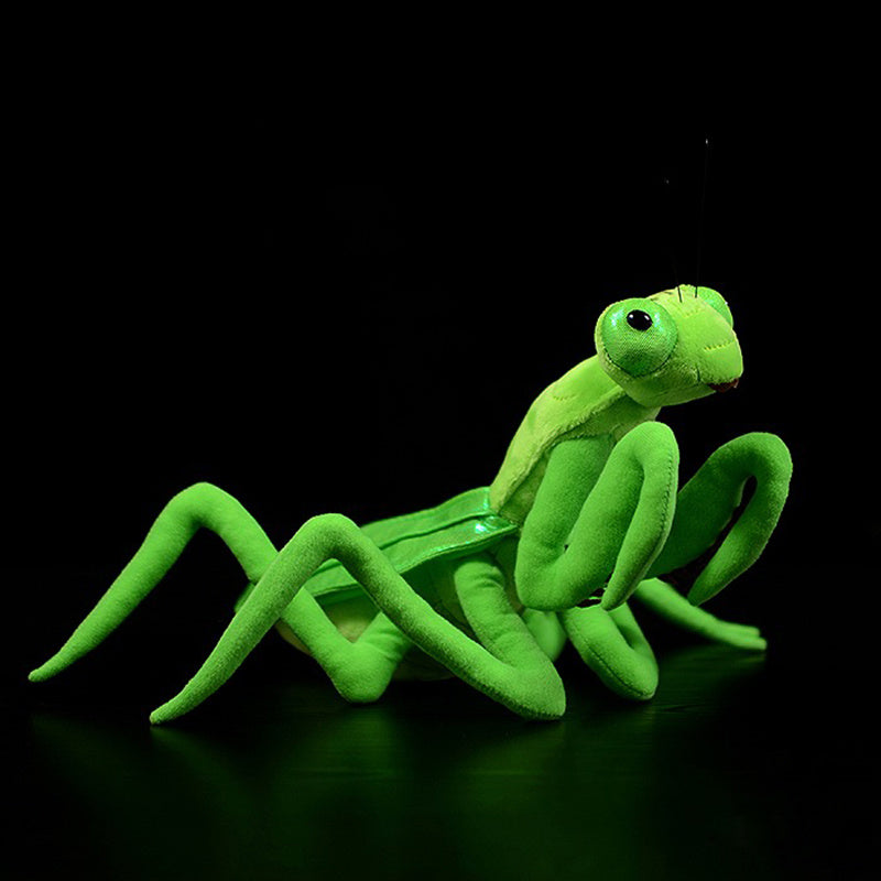 Preying for Cuddles: Lifelike Mantis Plush Toy