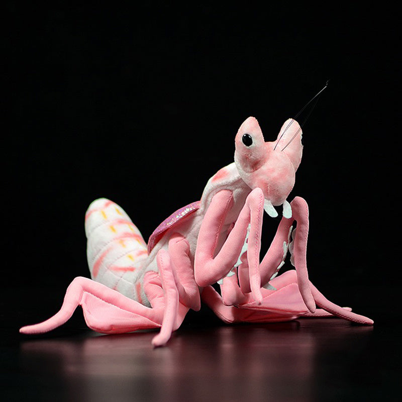 Preying for Cuddles: Lifelike Mantis Plush Toy