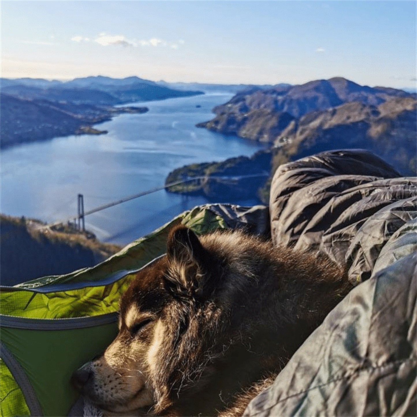 Bug Explorer Hammock with Insect Shield - Adventure-Ready Comfort 💥🐞💥