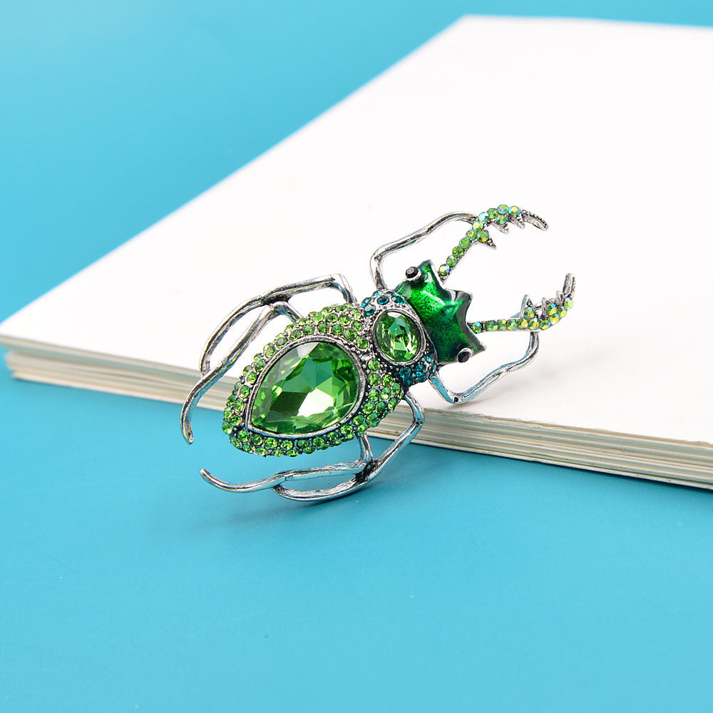 ♦️Bedazzle Beetle: The Sparkling Jewel of Nature’s Closet! - Bug Zoo Store