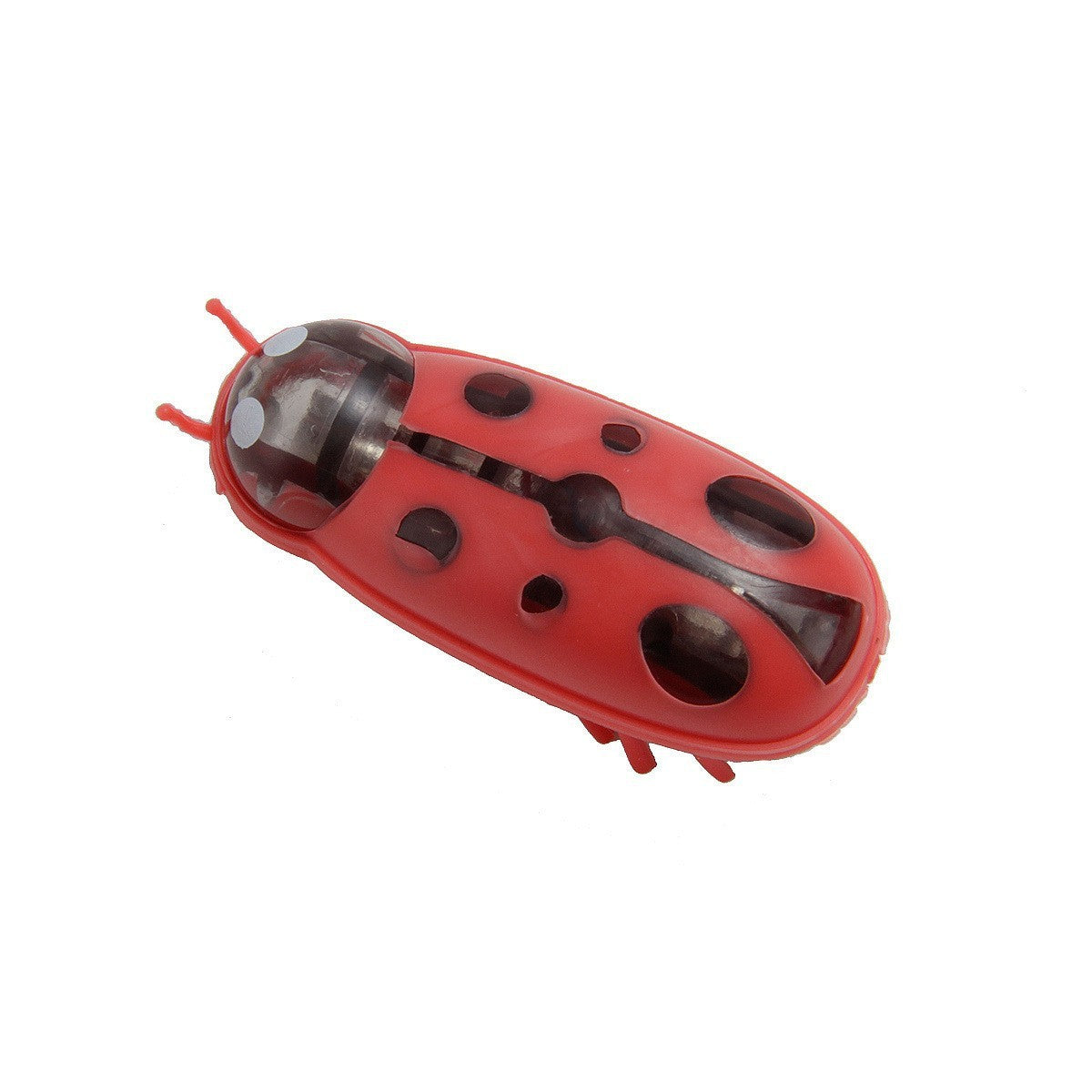 Buzzin' Bug Bonanza: Vibrating Beetle Toy – Fun for All (Great Gag Gift)! - Bug Zoo Store