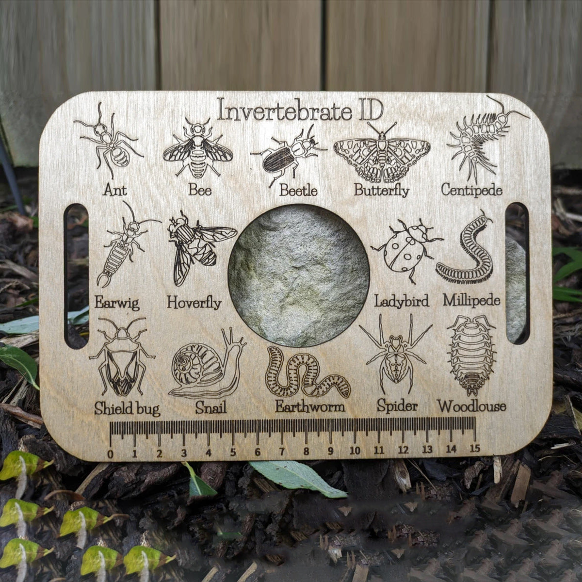 Ruler of the Insect Kingdom: Bug Encyclopedia ID Tool🐜🐛 - Bug Zoo Store