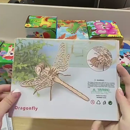 Wooden model puzzle 3D insect