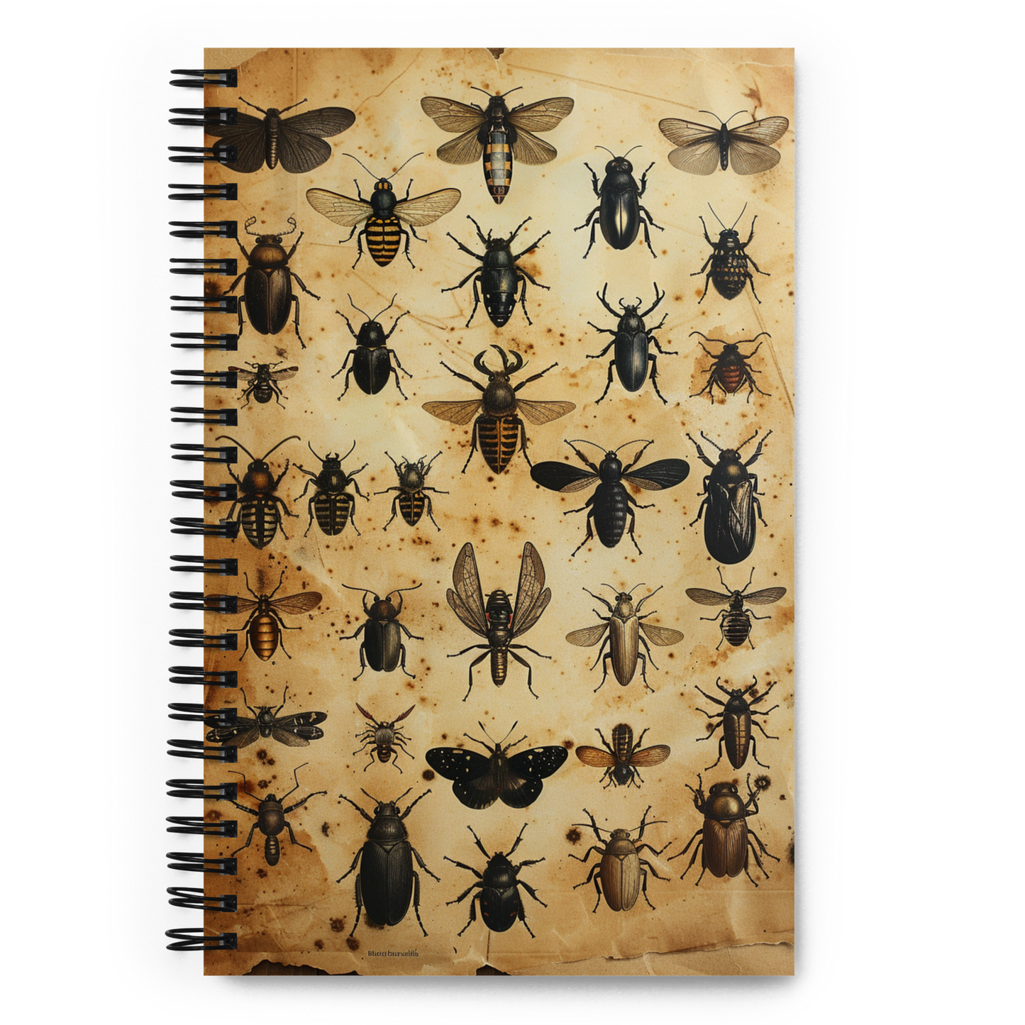 🐞 Entomologist's Dream Notebook: Chronicle the Tiny Titans 🐞 - Bug Zoo Store