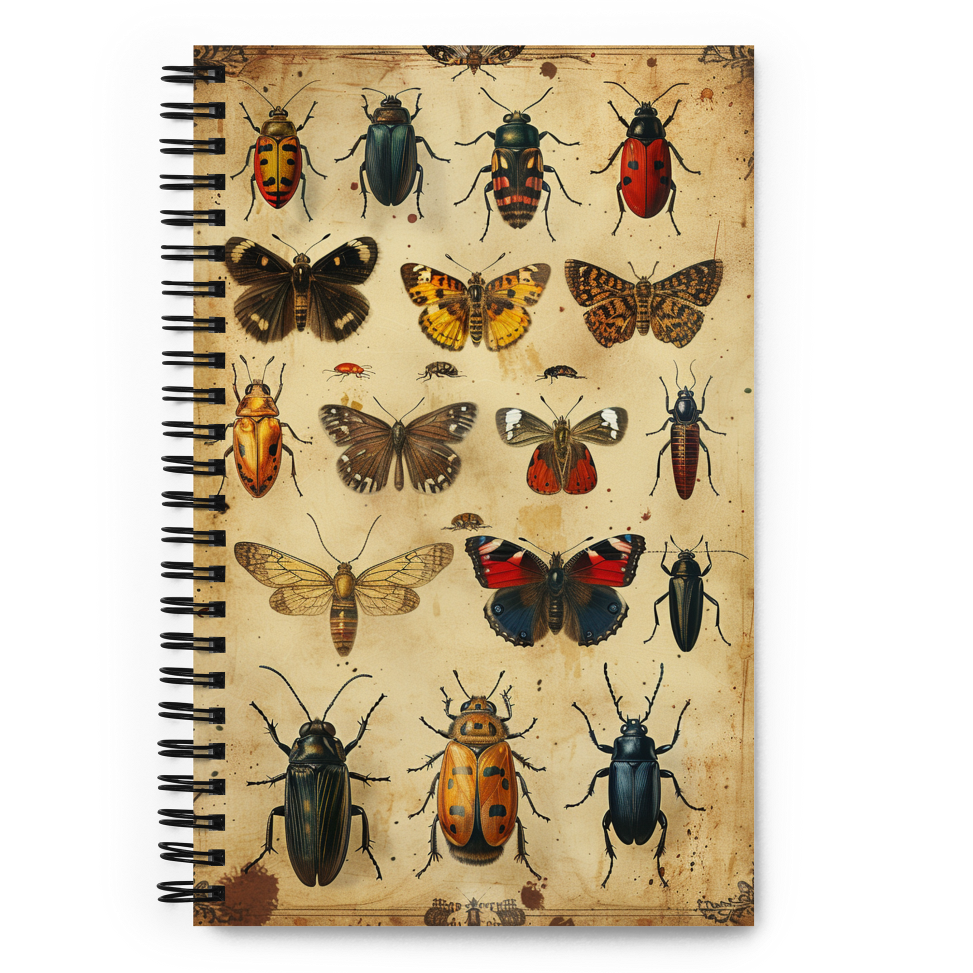 🐞 Vintage Bug Explorer Notebook: Unearth the Wonders of Nature 🐞 - Bug Zoo Store